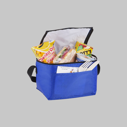 Custom 6-can cooler lunch bag