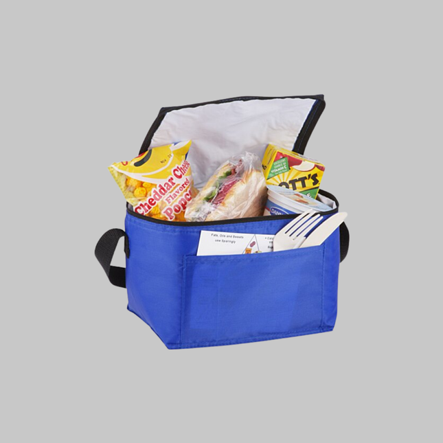 Custom 6-can cooler lunch bag