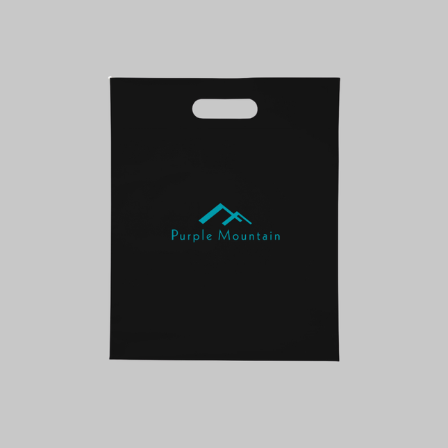 Custom convention bag 15 x 12