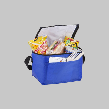 Custom 6-Can Cooler Lunch Bag