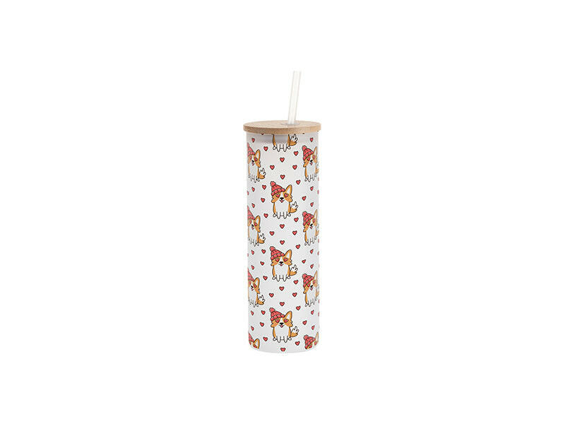 Craft Express 6 Pack 20oz Frosted Glass Sublimation Tumblers with Lids & Straws