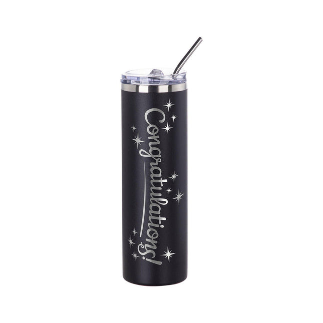 Craft Express 6 Pack Powder Coated Stainless Steel Tumblers with Straw & Lid