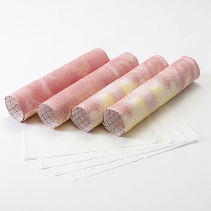 Craft Express 4 Pack 12x12 Pre-Printed Sublimation Sheets