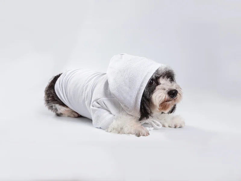 Craft Express 2 Pack Large Sublimation Pet Hoodies – Sublimation-Ready Dog Apparel