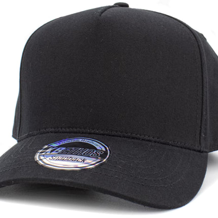 5 Panel Baseball Cap