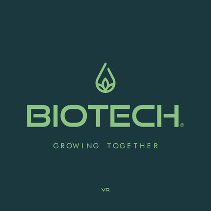 Brand Design (LOGO)