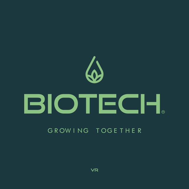 Brand Design (LOGO)