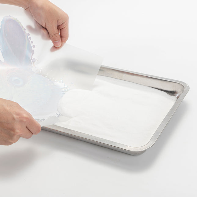 OtterPro DTF Powder: Superior Adhesion for Vibrant and Durable Transfers, 1 Kg